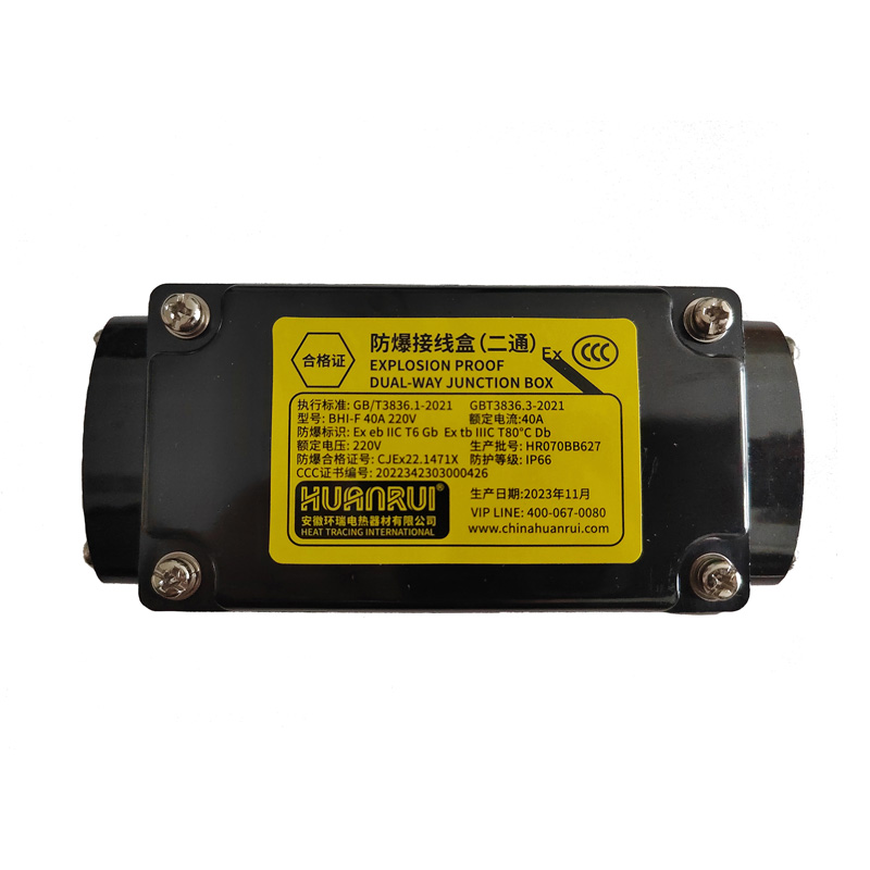 Caja de conexiones bidireccional antiexplosiva para calefacción eléctrica BHI